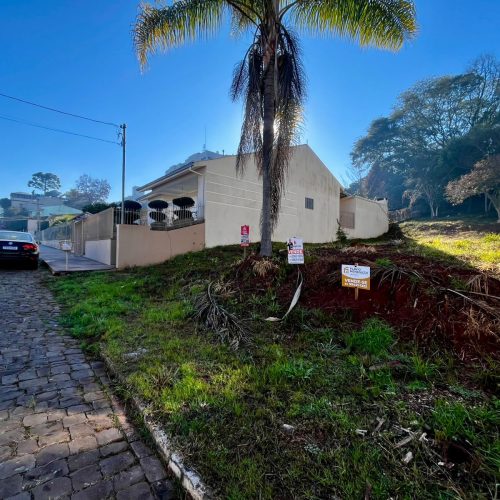 WhatsApp-Image-2025-07-09-at-07.21.29