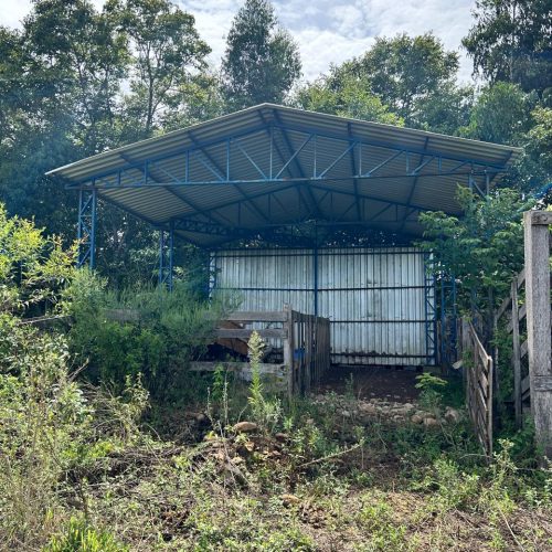 WhatsApp-Image-2026-03-05-at-10.05.12-3