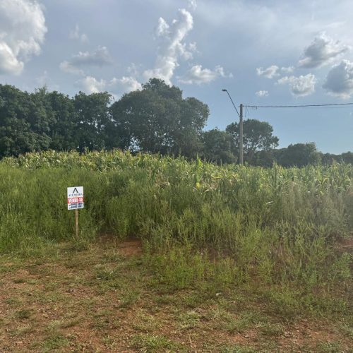 WhatsApp-Image-2026-03-25-at-20.47.34-10