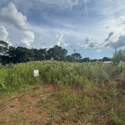 WhatsApp-Image-2026-03-25-at-20.47.34-8