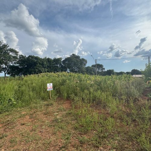 WhatsApp-Image-2026-03-25-at-20.47.34-9