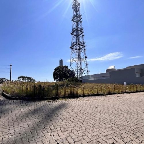 WhatsApp-Image-2026-03-26-at-14.23.00-1