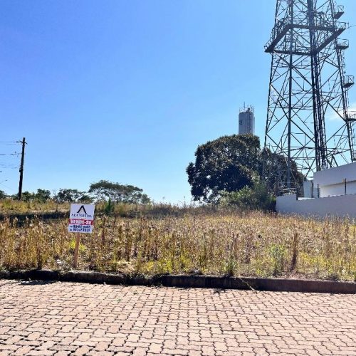 WhatsApp-Image-2026-03-26-at-16.20.05-1