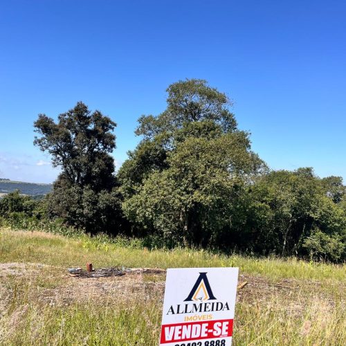 WhatsApp-Image-2026-03-26-at-16.43.17