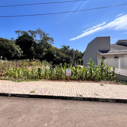 WhatsApp-Image-2026-03-26-at-16.59.08