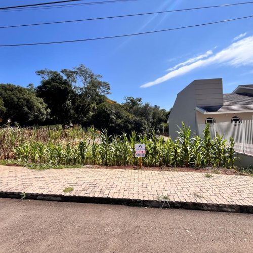 WhatsApp-Image-2026-03-26-at-16.59.09