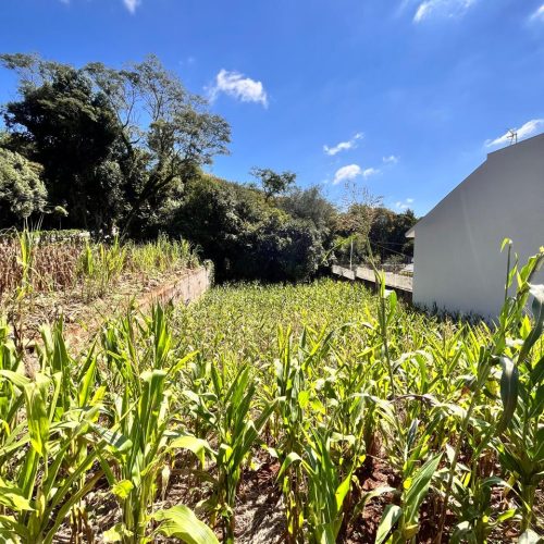 WhatsApp-Image-2026-03-26-at-16.59.35