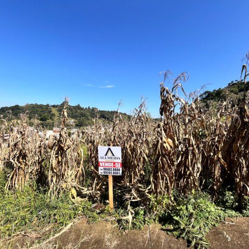 WhatsApp-Image-2026-03-26-at-17.19.11-1