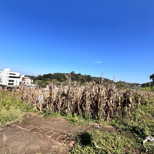 WhatsApp-Image-2026-03-26-at-17.19.13-1