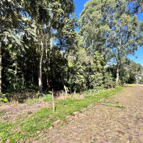 WhatsApp-Image-2026-03-27-at-16.32.04