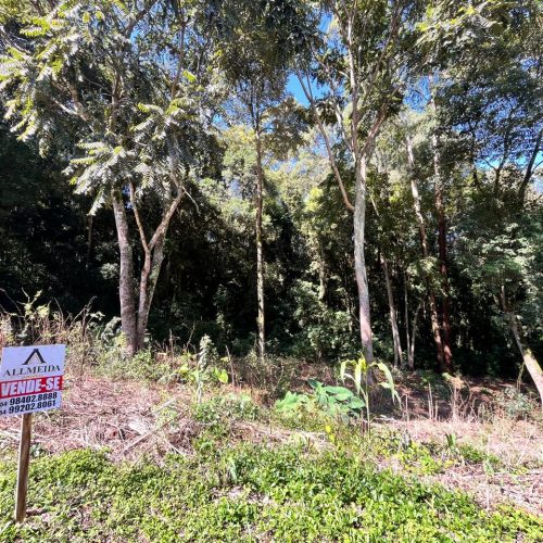 WhatsApp-Image-2026-03-27-at-16.32.05