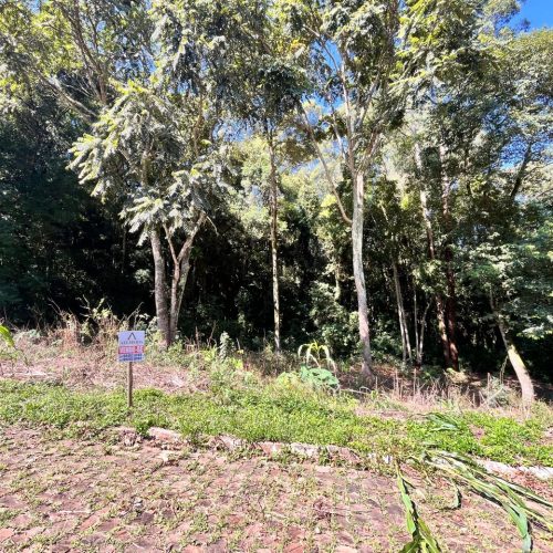 WhatsApp-Image-2026-03-27-at-16.32.06