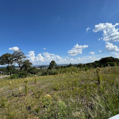 WhatsApp-Image-2026-03-28-at-18.35.16-1