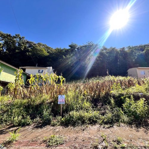 WhatsApp-Image-2026-03-31-at-16.05.50