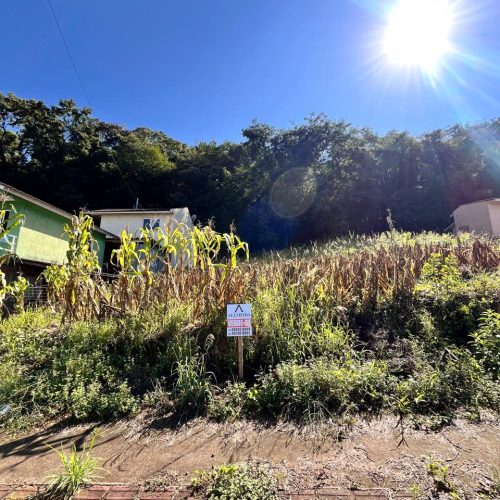 WhatsApp-Image-2026-03-31-at-16.05.51-2