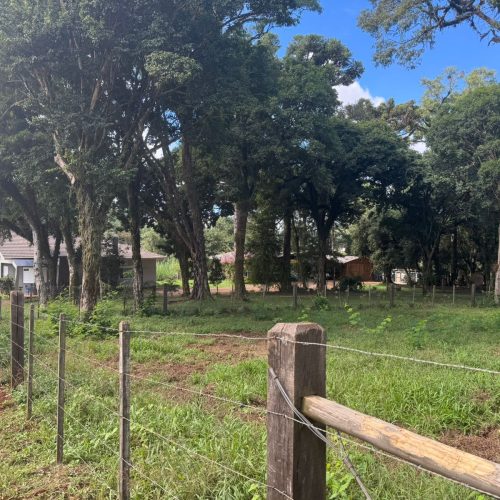 WhatsApp-Image-2026-04-09-at-11.08.30