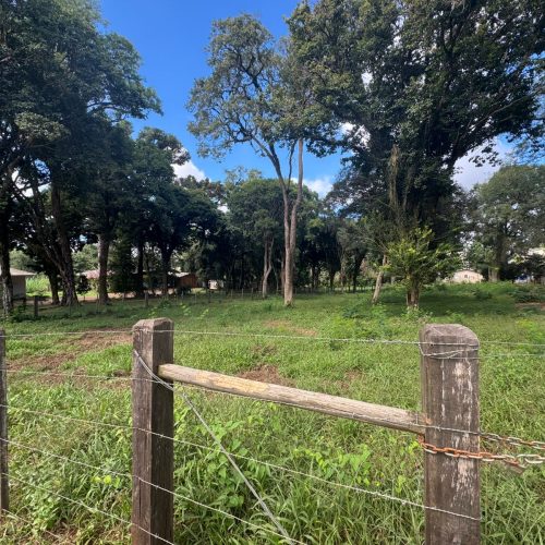 WhatsApp-Image-2026-04-09-at-11.08.31-1