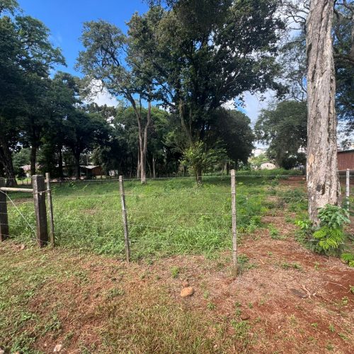 WhatsApp-Image-2026-04-09-at-11.08.32