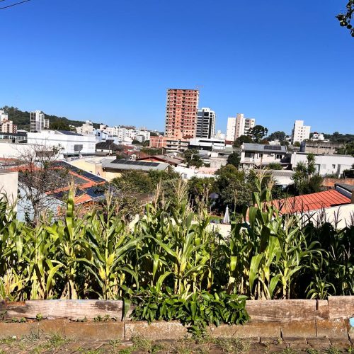 WhatsApp-Image-2026-04-10-at-17.19.11-1