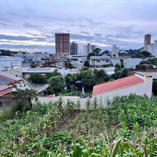 WhatsApp-Image-2026-04-13-at-10.44.33