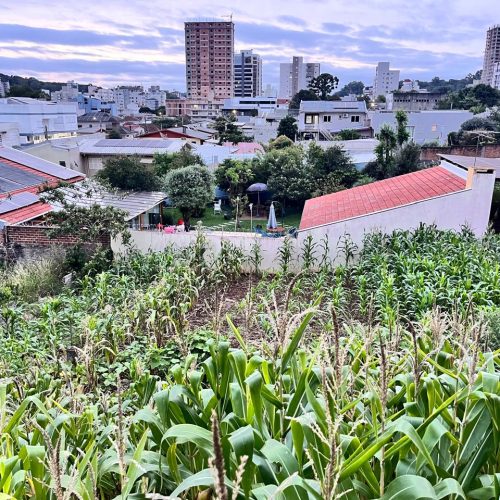 WhatsApp-Image-2026-04-13-at-10.44.35