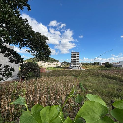 WhatsApp-Image-2026-04-13-at-15.25.05