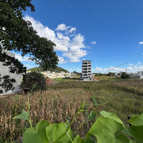 WhatsApp-Image-2026-04-13-at-15.25.06