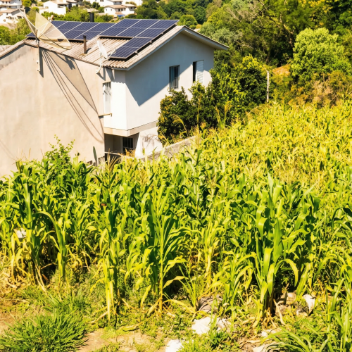 freepik__melhore-essa-imagem__15196-5