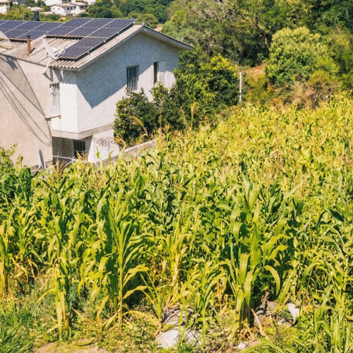 freepik__melhore-essa-imagem__15199-1